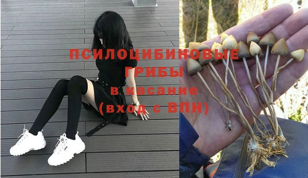 индика Алексеевка
