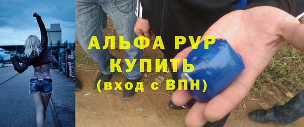 индика Алексеевка